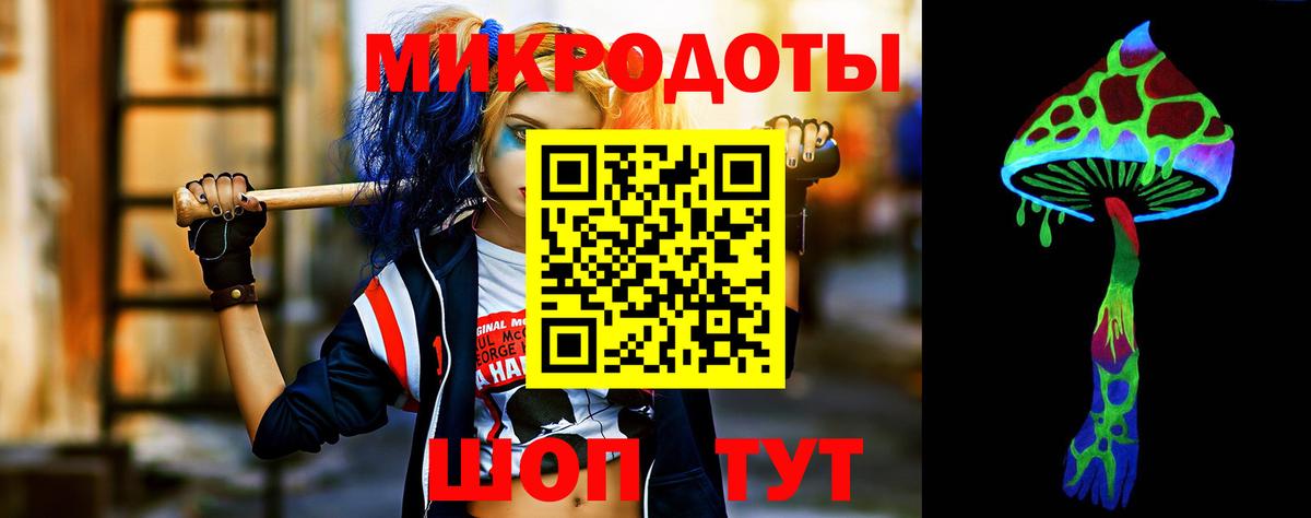 Карачаевск  Галлюциногенные грибы прущие грибы  Вход с VPN 